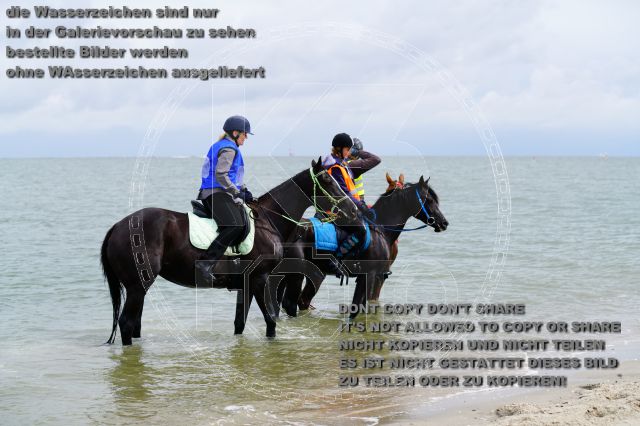 s_K3F05104.JPG